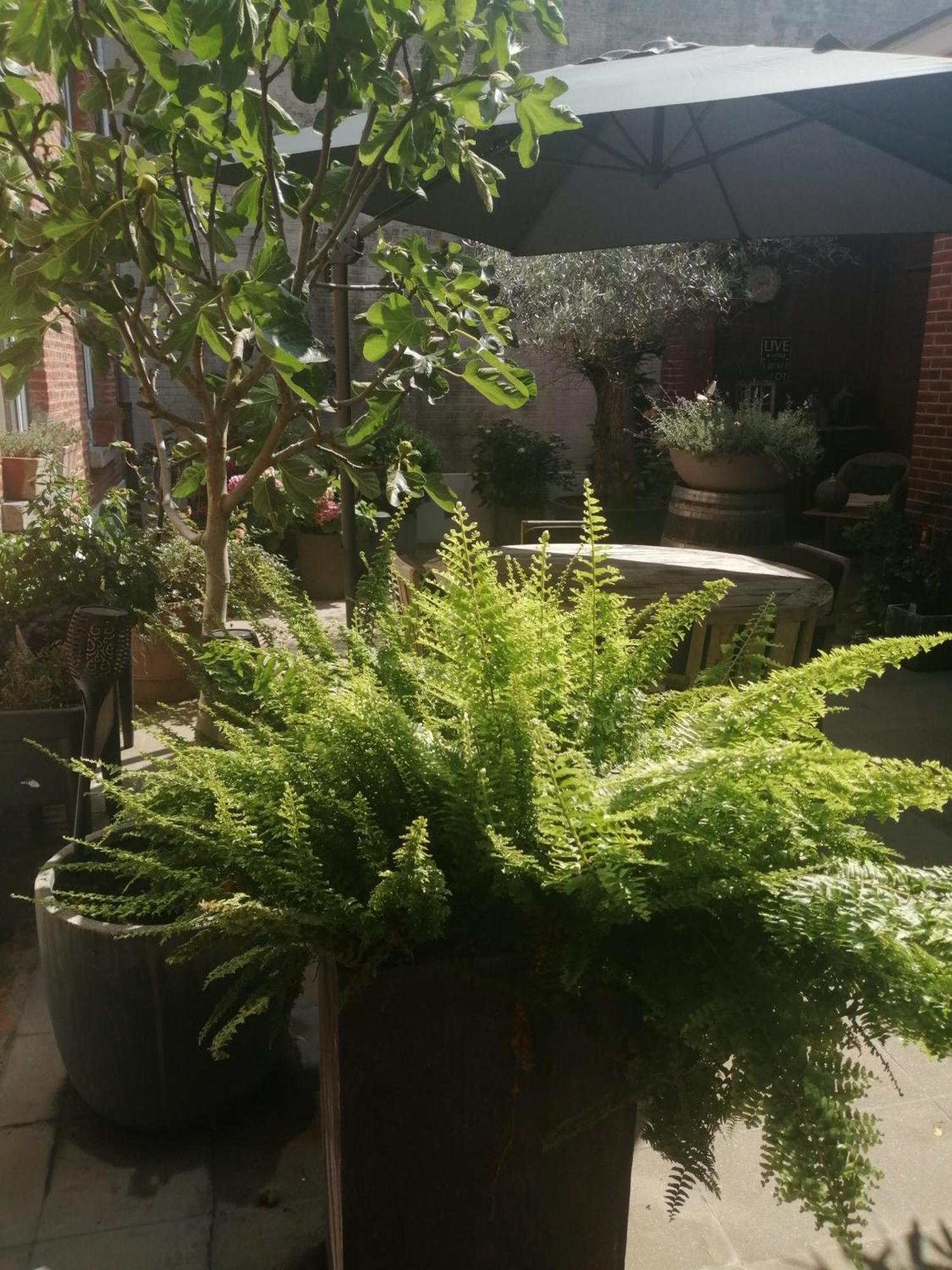 Casa Della Nonna Bed & Breakfast Diest Eksteriør bilde